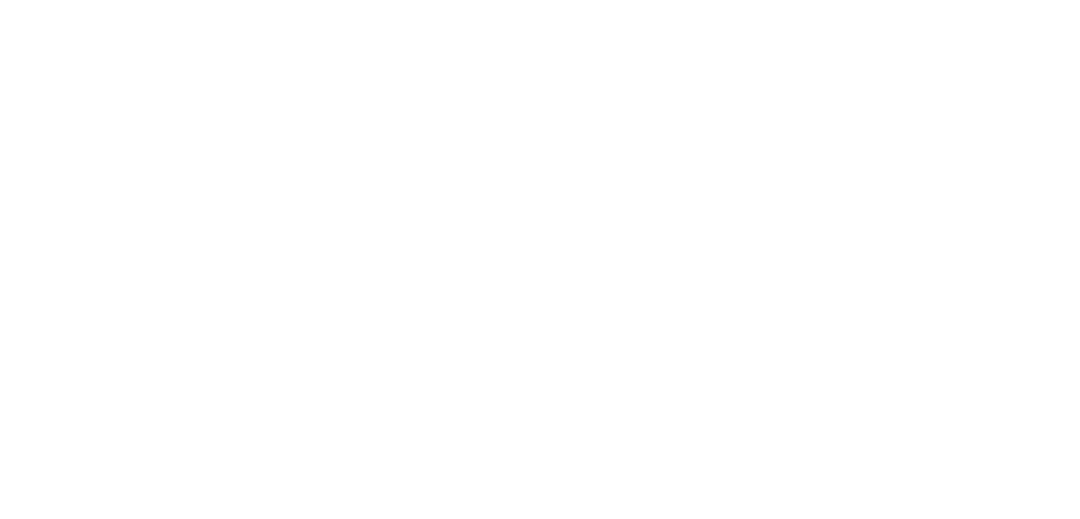 PrimeFit Logo
